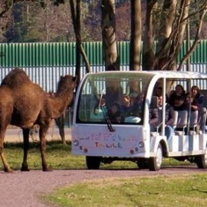 Ecoparque Talice desde Colonia | Experiencia Completa