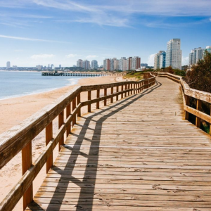 Viaje a Punta del Este