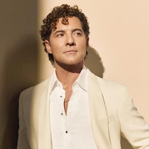 Recital de David Bisbal