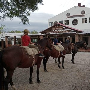 Traslado a Estancia Turística El Terruño